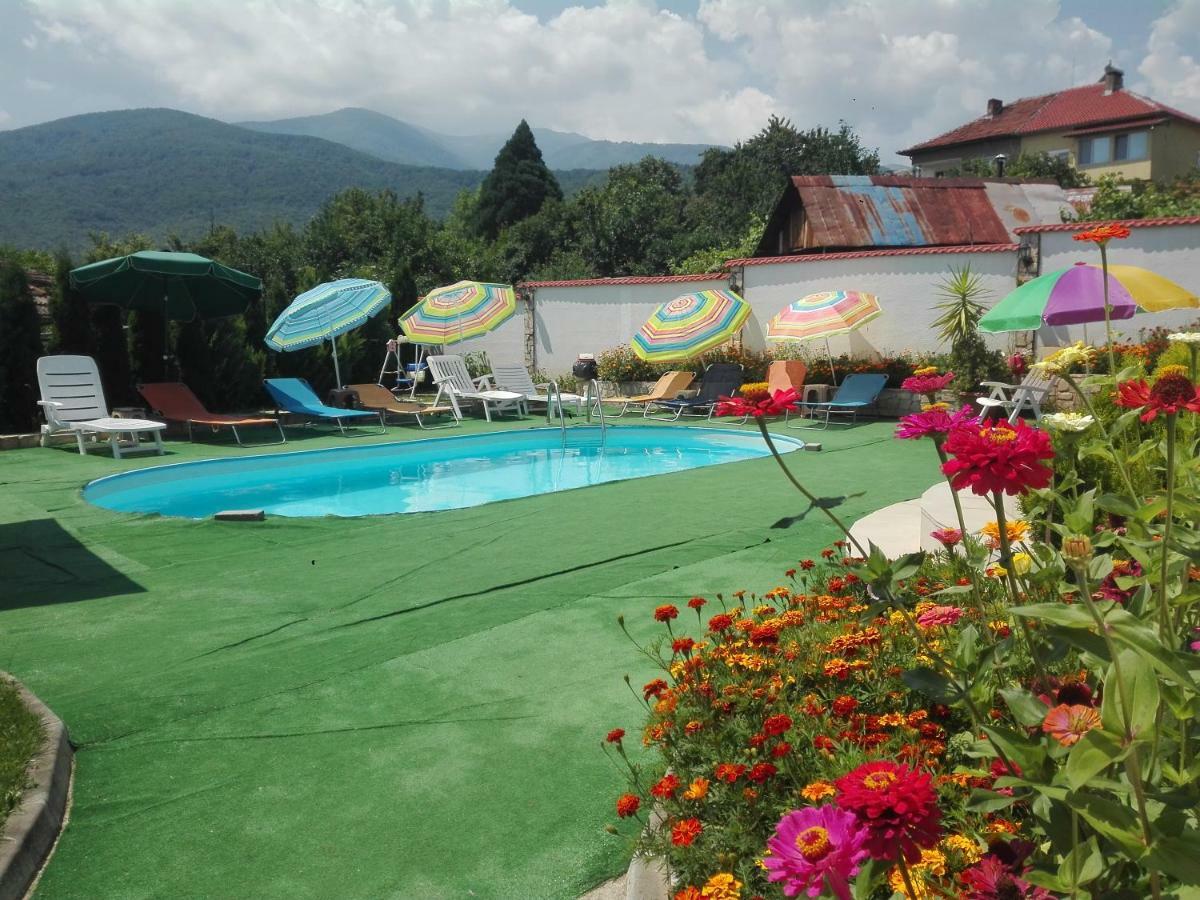 Guest House Camellia 베르코비차 외부 사진
